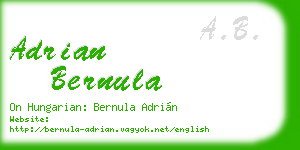 adrian bernula business card